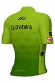 ALÉ Kolesarski dres s kratkimi rokavi - SLOVENIAN FEDERATION PRIME 2024 - zelena